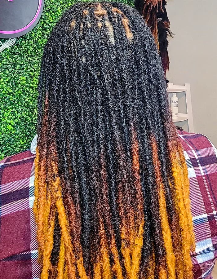 Locs Installation 1