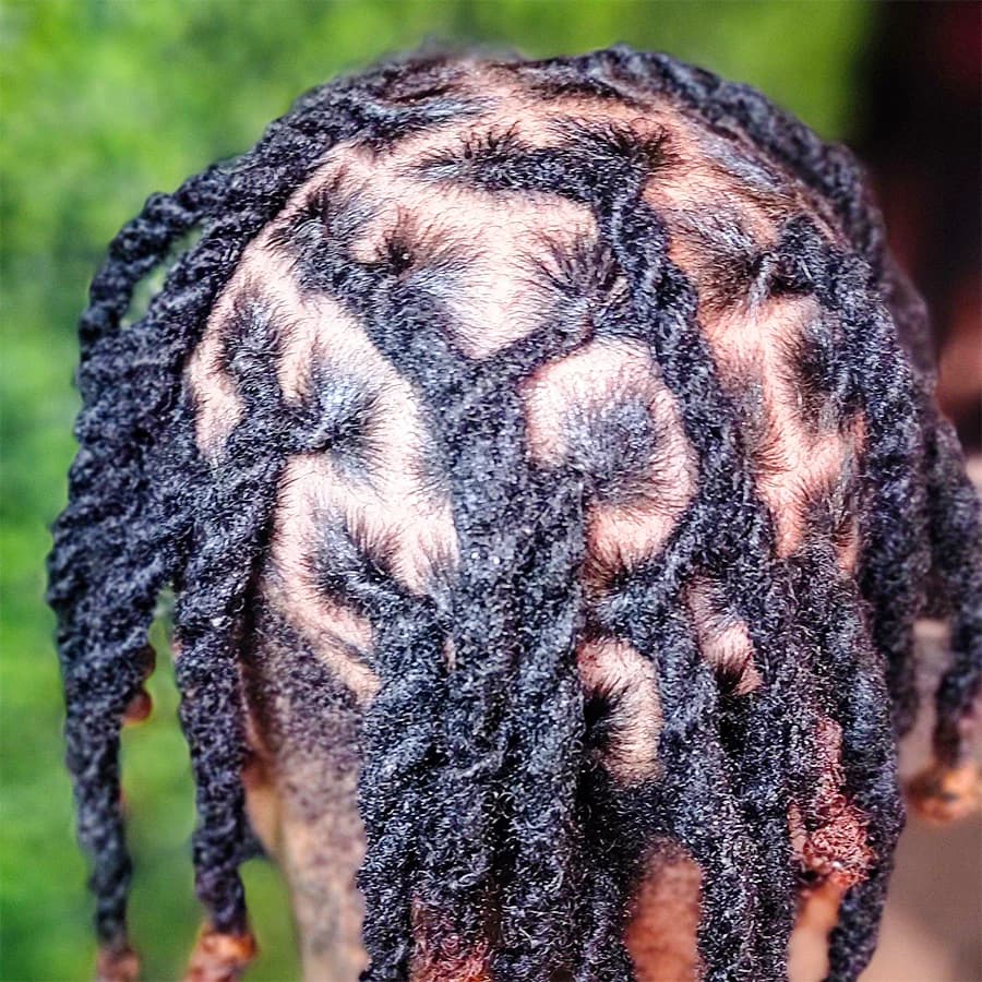 Locs Retwist 2